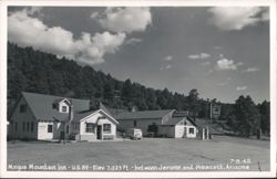 Mingus Mountain Inn, U.S. 89, Mobilgas Station, Arizona Postcard