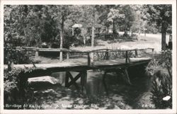 Bridge at Kelly Springs Postcard