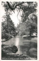 A Brook At Kelly Springs Postcard