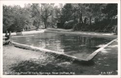 Swimming Pool At Kelly Springs Postcard
