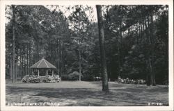 Fulwood Park Gazebo and Picnic Area Postcard