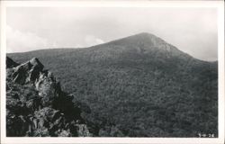 Forested Mountain Peak and Rocky Outcrop Postcard