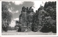 Natural Chimneys - Mt. Solon, Virginia Postcard