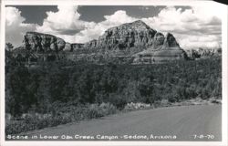Scene in Lower Oak Creek Canyon Postcard