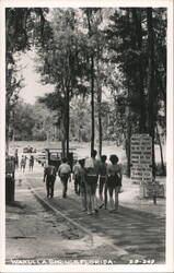 Visitors on path to Wakulla Springs attractions, glass bottom boats, Jungle Cruise Postcard