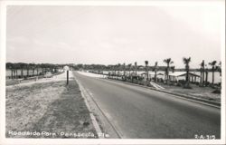 Roadside Park with palm trees and cabins, Pensacola, FL Postcard