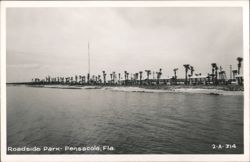 Roadside Park, Pensacola Postcard