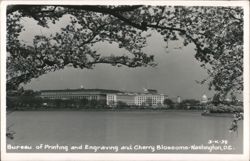 Bureau of Printing and Engraving and Cherry Blossoms Postcard