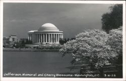 Jefferson Memorial and Cherry Blossoms Postcard