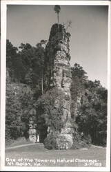Towering Natural Chimneys, Mt. Solon, VA Postcard