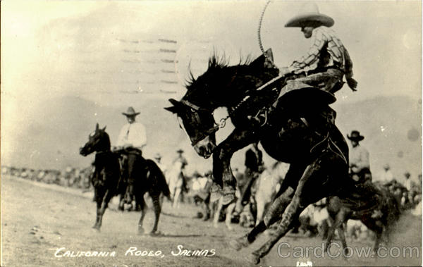 California Rodeo Salinas
