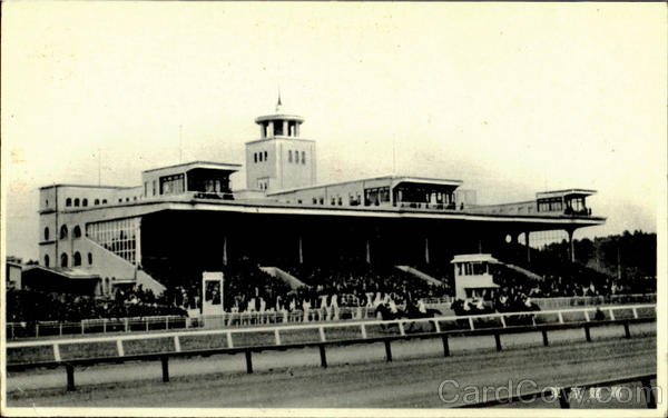 Horse Racing Japan