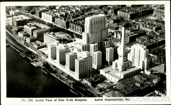 New York Hospital Aerial View New York City
