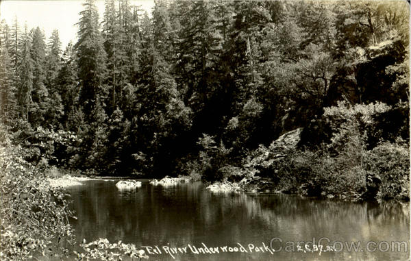 Eel River Under Wood Park Redwood Highway California