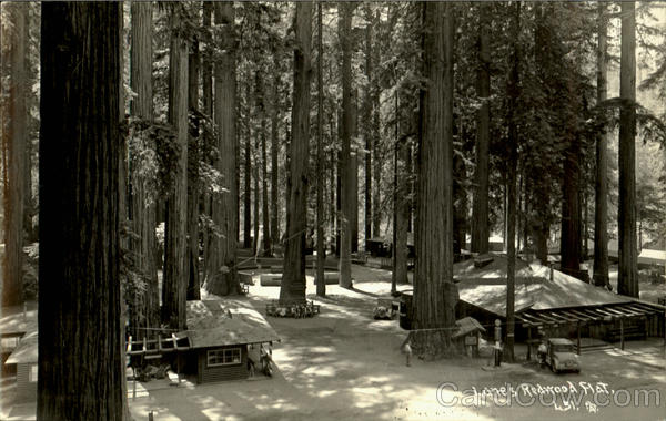 Lane's Redwood Flat Redwood Highway California Patterson