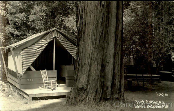 Tent Cottages Lanes Redwood Flat Redwood Highway California