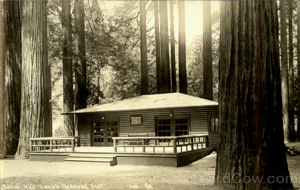 Social Hall Lane's Redwood Flat Redwood Highway California