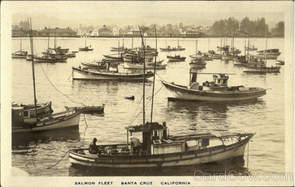 Salmon Fleet Santa Cruz California