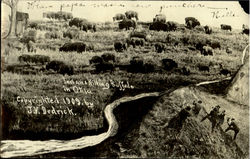 Indians Killing Buffalo Postcard