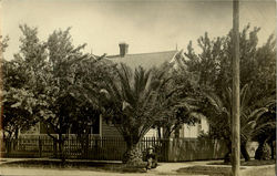House with Palms and Picket Fence Postcard