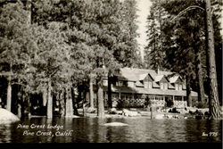 Pine Crest Lodge Postcard