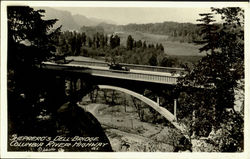 Sheppero's Dell Bridge Postcard