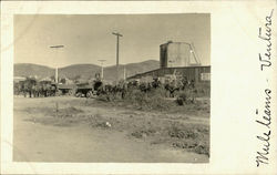 Muletiams Postcard