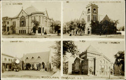 Woodlawn Postcard
