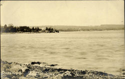 Stargrevige Salisbury Cove, M Postcard