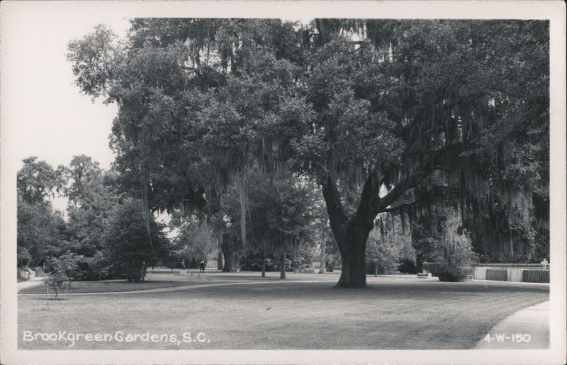 Scenic View of Brookgreen Gardens with Moss-Draped Trees South Carolina