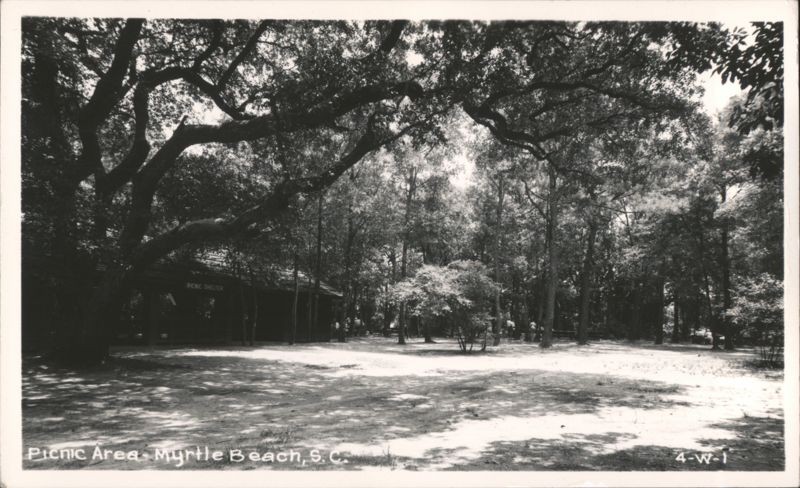 Picnic Area with Shelter and Trees, Myrtle Beach South Carolina
