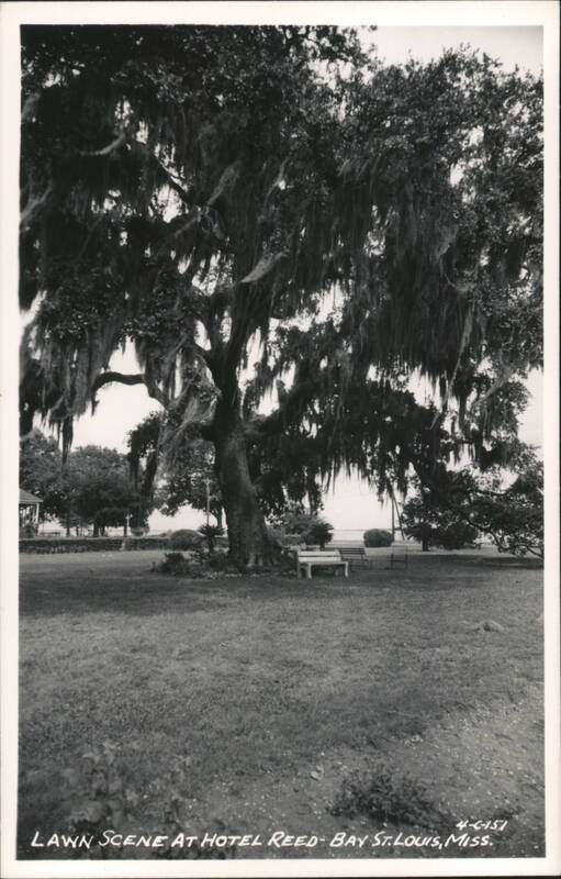 Lawn Scene with Spanish Moss Tree at Hotel Reed Bay Saint Louis Mississippi