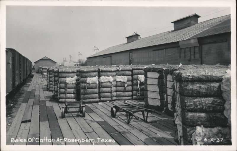 Bales Of Cotton At Rosenberg, Texas