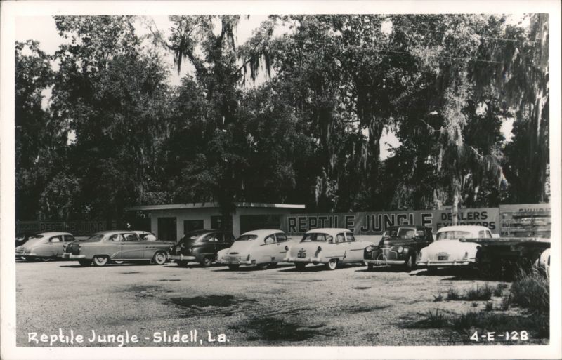 Reptile Jungle with Vintage Cars - Slidell, LA Louisiana