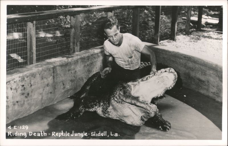 Riding Death - Reptile Jungle Slidell Louisiana