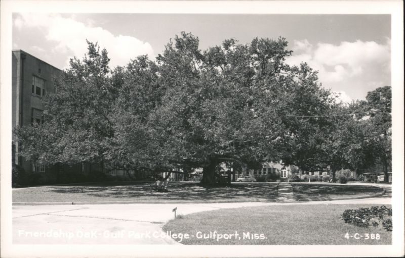 Friendship Oak at Gulf Park College Gulfport Mississippi