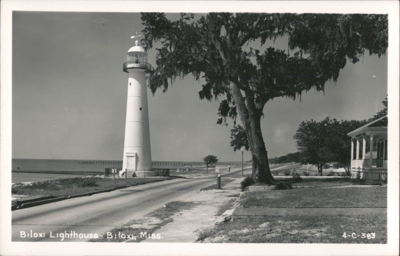 Biloxi Lighthouse, Road, and Large Tree Mississippi