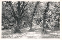 Lincoln Bridge Across Travertine Creek, Platt National Park Postcard