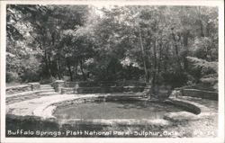Buffalo Springs, Platt National Park Postcard