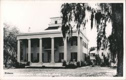 D'Evereux Mansion with Columns and Spanish Moss Postcard