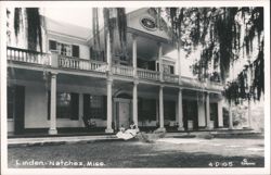 Linden, Grand Southern Mansion with Columns and Porches Postcard