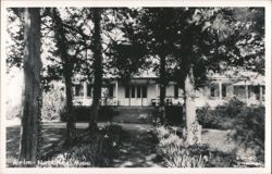 Airlie Mansion with Tree-Lined Path, Natchez Postcard