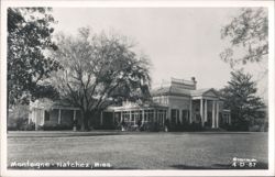 Monteigne Mansion with Large Trees, Natchez Postcard