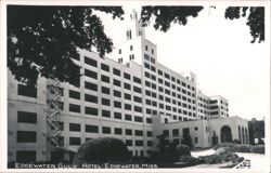 Edgewater Gulf Hotel with trees Postcard
