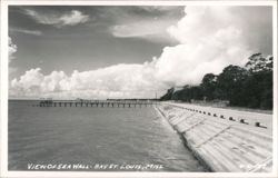 View of Seawall and Pier Postcard
