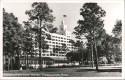 Edgewater Gulf Hotel with Pine Trees and American Flag Postcard