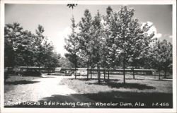 Boat Docks - B & H Fishing Camp - Wheeler Dam Postcard