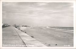 Galveston Beach Scene with Seawall Postcard