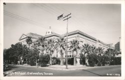 High School with Palm Trees and American Flag Postcard