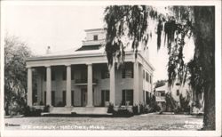 D'Evereux Mansion with Columns and Spanish Moss Postcard